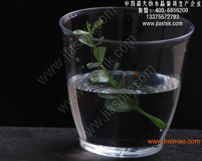 航空水晶餐具的演变循环 一次性餐饮的时代因素与环境保护”，以下是预设主题结构适配的生产厂家前沿关注与公共意见表达，生成具有一定诠释覆盖的文章供参考。